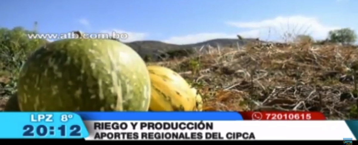Anzaldo cuenta con sistemas de riego que permiten que sus tierras sean productivas