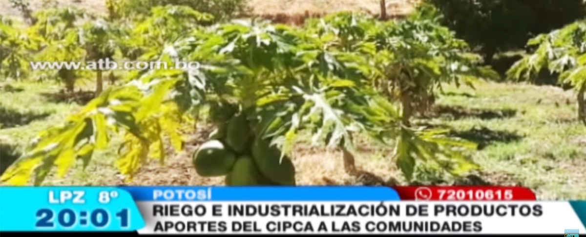 Toro Toro es el único municipio de Potosí donde no existe migración gracias a su productividad