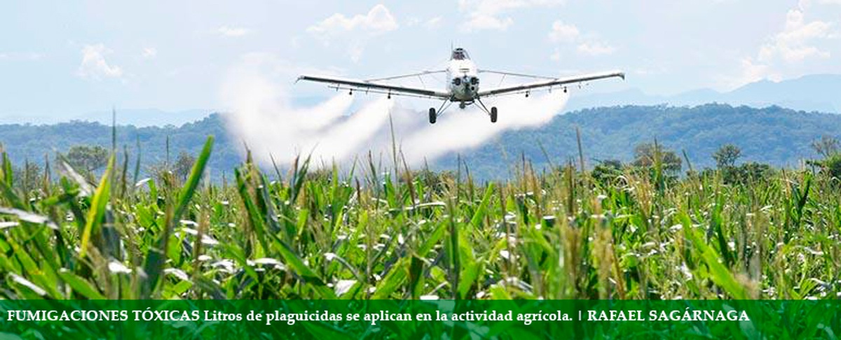 Bolivia, un país adicto al polémico glifosato