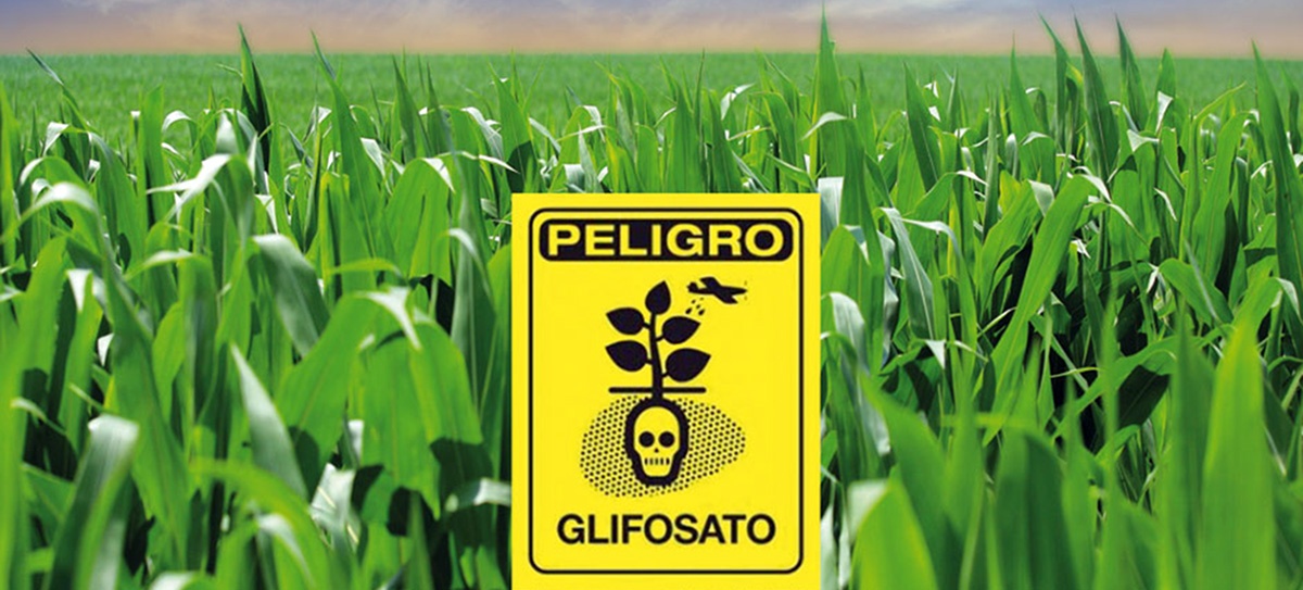 ¿Transgénicos? ¿Glifosato? Bolivia a contramarcha
