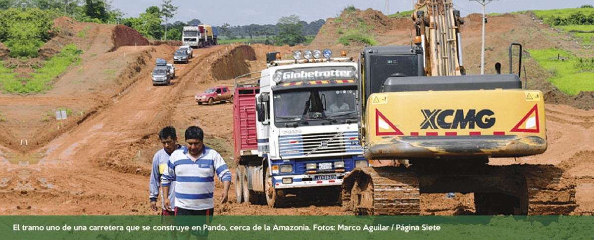 Monocultivo y producción de soya amenazan a Amazonia