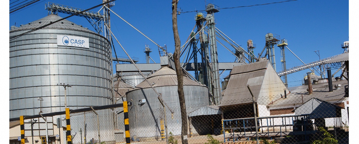 ¿Es sostenible el modelo agroexportador soyero?