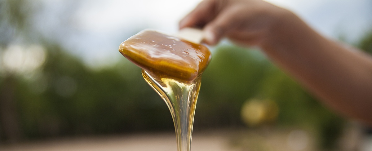 La miel, un dulce negocio con un amargo futuro