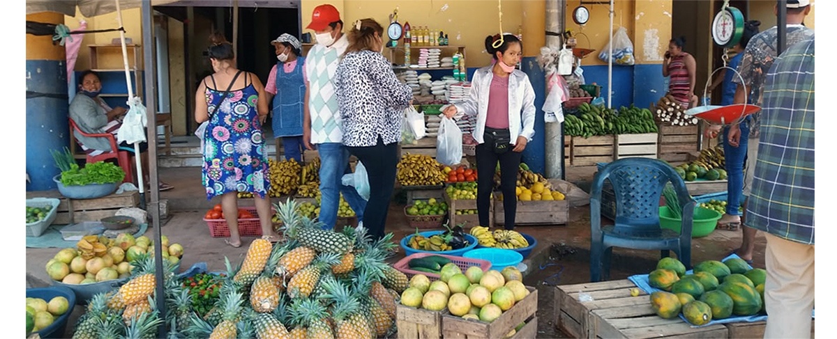 Gobiernos municipales y departamentales como primer frente de lucha sanitaria y productiva contra el COVID-19