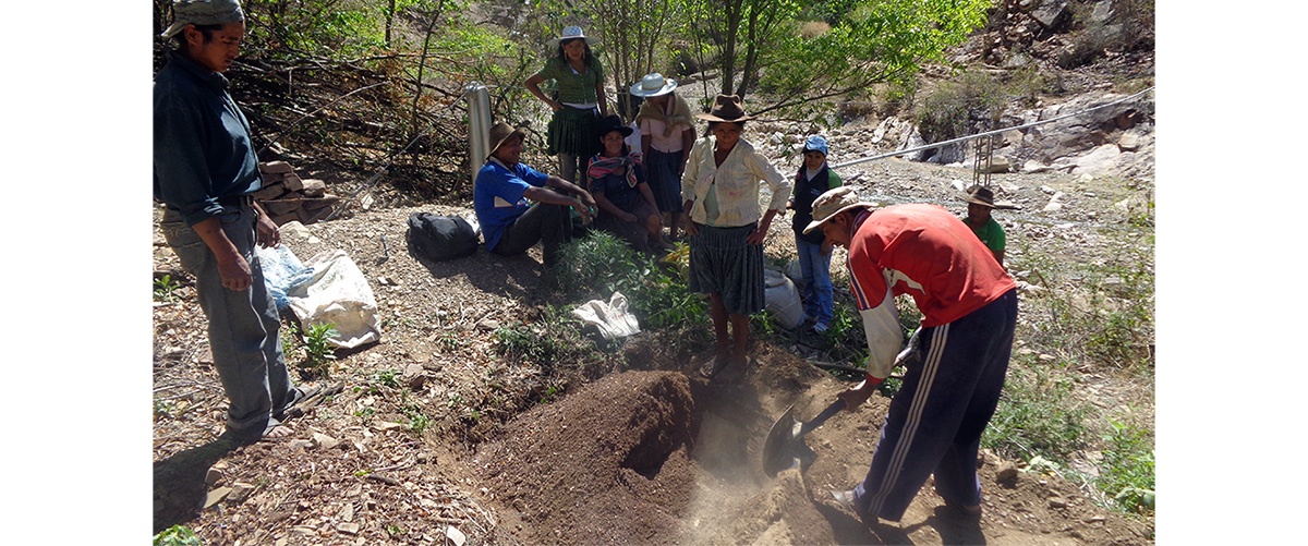 COVID-19, trabajadores informales y su vínculo con la agricultura familiar