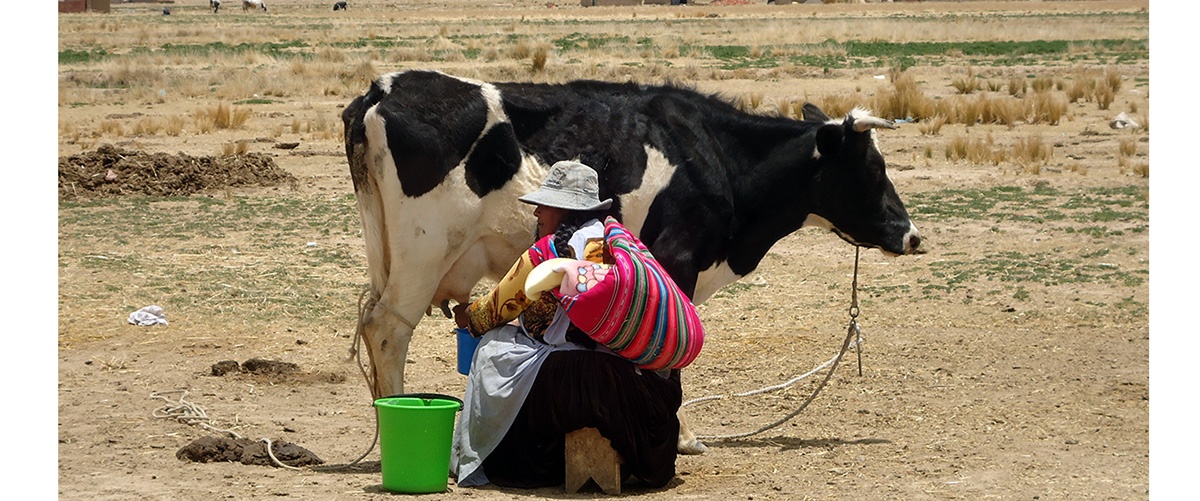 Producción de leche en tiempos de cuarentena por COVID-19