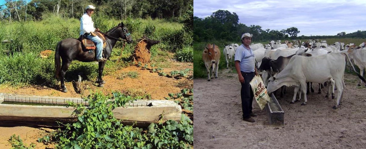 El agronegocio no está produciendo tanto alimento en cuarentena
