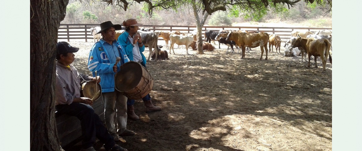 Ganadería Comunitaria Sostenible: Una nueva forma de producción bovina en el Chaco boliviano por familias guaraní