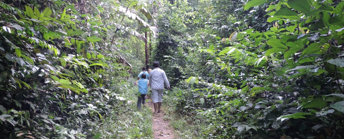 Cambio climático y las Contribuciones Nacionalmente Determinadas (CNDs) 2021-2030 en Bolivia