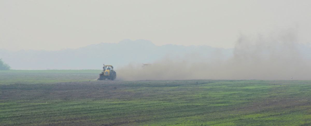 Incentivos e indicadores para la innovación con prácticas agrícolas sostenibles.