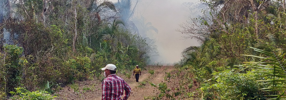 La COP 28 y la necesidad de replantear las estrategias de acción en un contexto de injusticia climática.