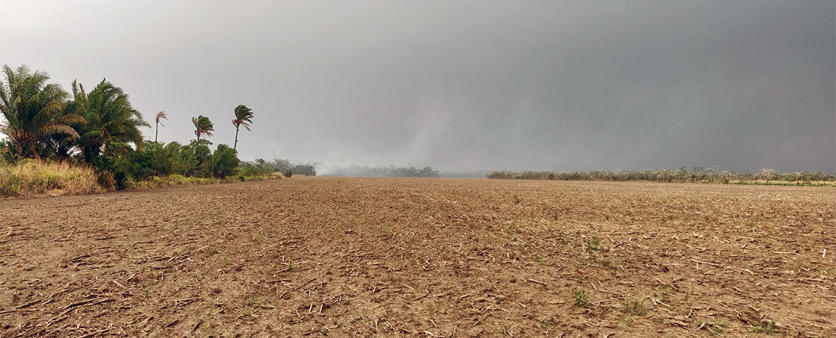 Los cultivos transgénicos ¿Una necesidad de la agricultura familiar  o profundización del modelo extractivista?