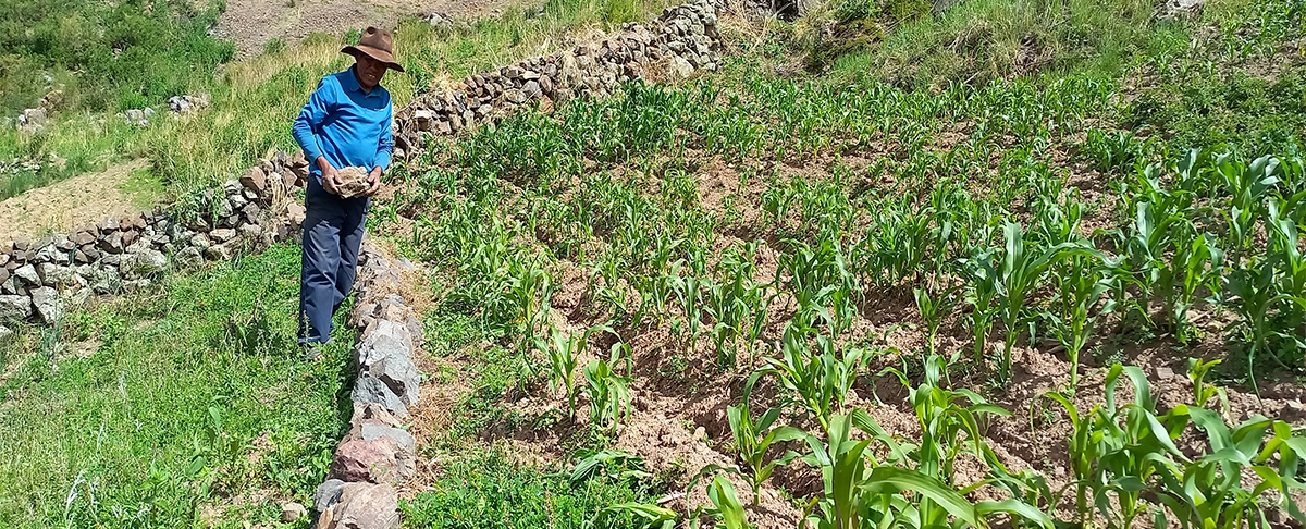 Agricultura familiar en Bolivia: Resiliencia y propuestas desde lo local
