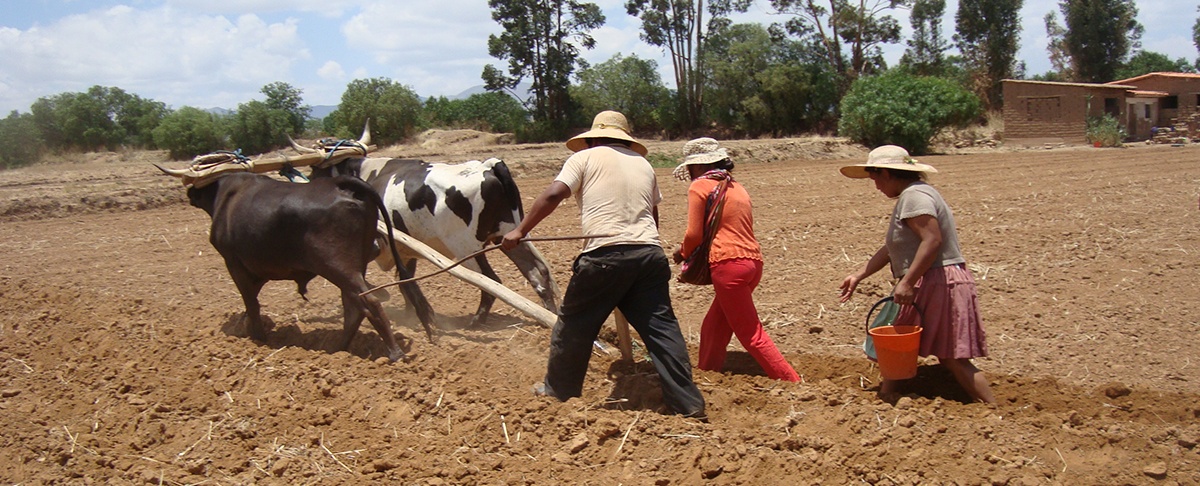 Sosteniendo la mesa: desafíos y resiliencia de la agricultura familiar