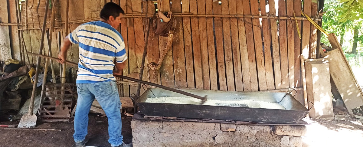 La financiarización del despojo: la ley 157 y la conversión agraria de la pequeña propiedad