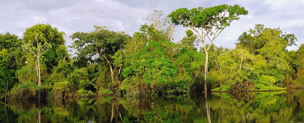 Escenarios climáticos extremos en Bolivia ¿Cuáles son los riesgos para la agricultura familiar en la Amazonía?