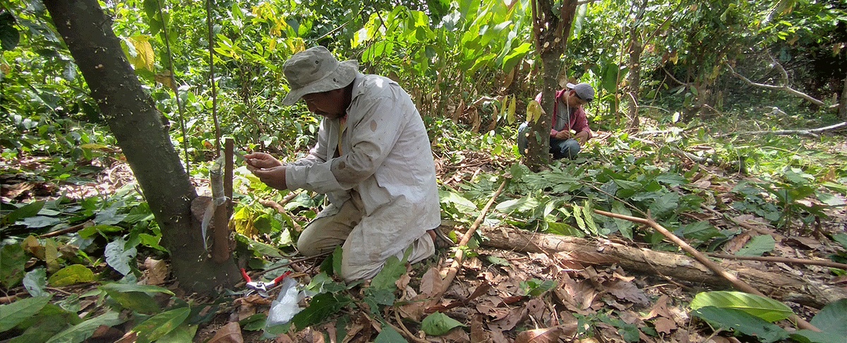 Proyecto de Ley 157: ¿una transición desde un régimen agrario de protección social hacia uno de mercado?