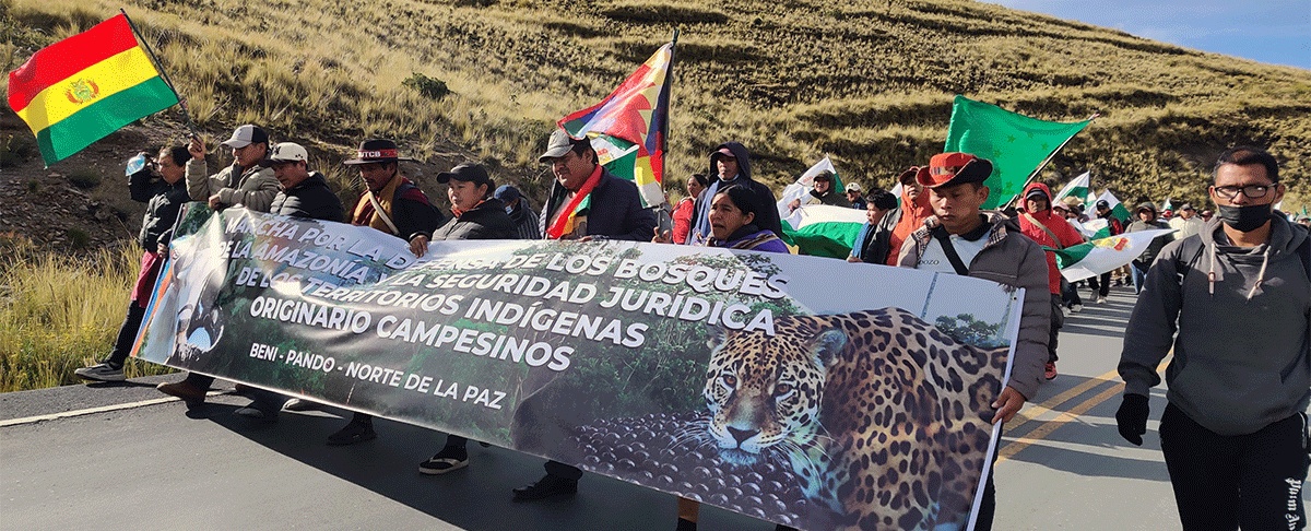 Voces diversas y plurales: defensa de los bosques de la Amazonía y la seguridad jurídica de la tierra y territorio