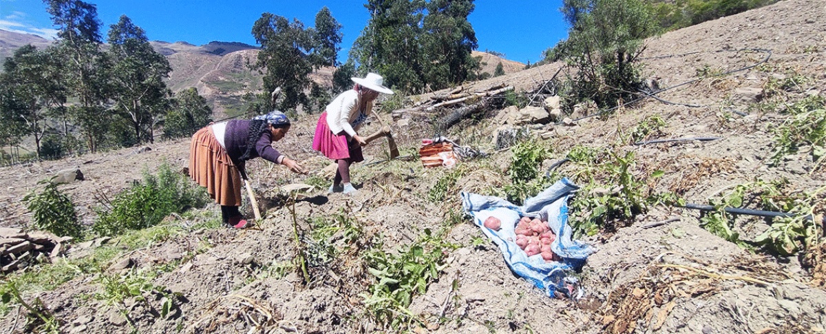 Más allá del crédito: la oportunidad de fortalecer la gobernanza de la tierra en Bolivia