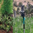 En Anzaldo cosechan agua y hacen florecer en tierra seca