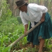 El proceso de cambio no ha llegado a los pequeños productores