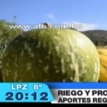 Anzaldo cuenta con sistemas de riego que permiten que sus tierras sean productivas