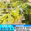 Toro Toro es el único municipio de Potosí donde no existe migración gracias a su productividad
