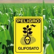 ¿Transgénicos? ¿Glifosato? Bolivia a contramarcha