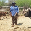 Autonomía en Charagua Iyambae: La lucha ancestral guaraní que hoy rinde frutos