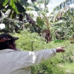 Tiempo de transición en el mundo: volver de la mano de la agroecología es otra forma de llegar