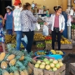Gobiernos municipales y departamentales como primer frente de lucha sanitaria y productiva contra el COVID-19 