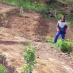 Fortalecer la agricultura familiar para mitigar los impactos del COVID-19
