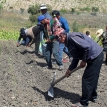 Repensar un modelo de desarrollo rural sostenible desde la agricultura familiar en tiempos de COVID-19