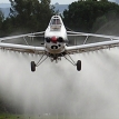 La vulnerabilidad actual de la agroindustria y el modelo extractivista en Bolivia