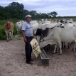El agronegocio no está produciendo tanto alimento en cuarentena