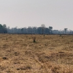 Santa Cruz, Bolivia: Crisis Ambiental Acelerada y Empeorada