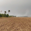 Los cultivos transgénicos ¿Una necesidad de la agricultura familiar  o profundización del modelo extractivista?
