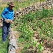Agricultura familiar en Bolivia: Resiliencia y propuestas desde lo local