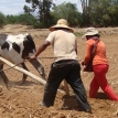 Sosteniendo la mesa: desafíos y resiliencia de la agricultura familiar