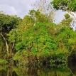 Escenarios climáticos extremos en Bolivia ¿Cuáles son los riesgos para la agricultura familiar en la Amazonía?