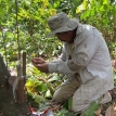 Proyecto de Ley 157: ¿una transición desde un régimen agrario de protección social hacia uno de mercado?