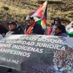 Voces diversas y plurales: defensa de los bosques de la Amazonía y la seguridad jurídica de la tierra y territorio