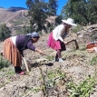 Más allá del crédito: la oportunidad de fortalecer la gobernanza de la tierra en Bolivia