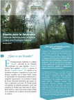 Sínodo para la Amazonía “Nuevos caminos para la iglesia y para una Ecología Integral"