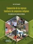 Composición de los ingresos familiares de campesinos indígenas