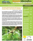 Reporte Informativo No. 10 Cacao nativo amazónico del Beni