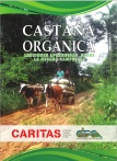 Castaña Orgánica. Lecciones aprendidas desde la mirada campesina