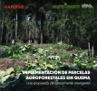 IMPLEMENTACIÓN DE PARCELAS AGROFORESTALES SIN QUEMA