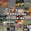 Cría y manejo de ovinos de pelo