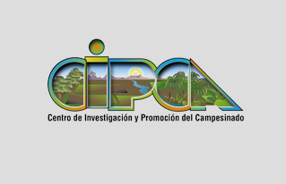 Líderes y lideresas comunitarios fortalecieron sus capacidades en gobernanza y gestión de recursos naturales.